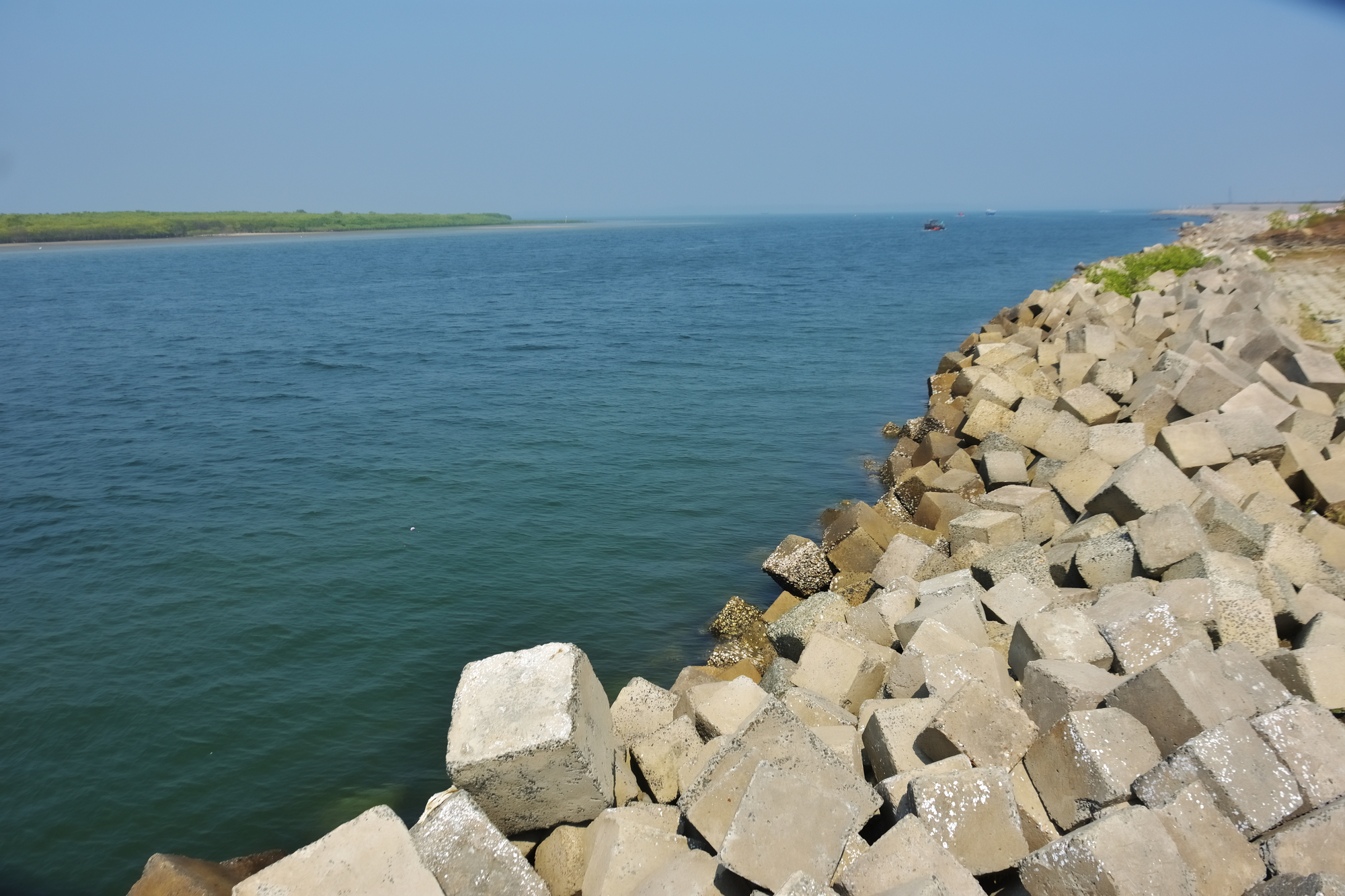 Concrete tetrapods line a rocky shoreline beside a body of blue water under a clear sky, with distant green land visible on the horizon.